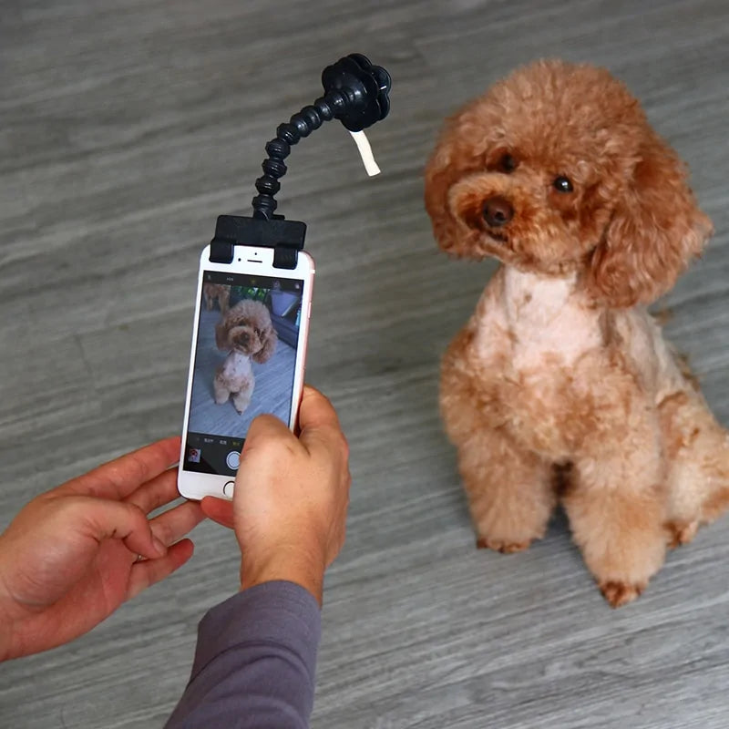 Selfie Stick for Pets Dog Cat
