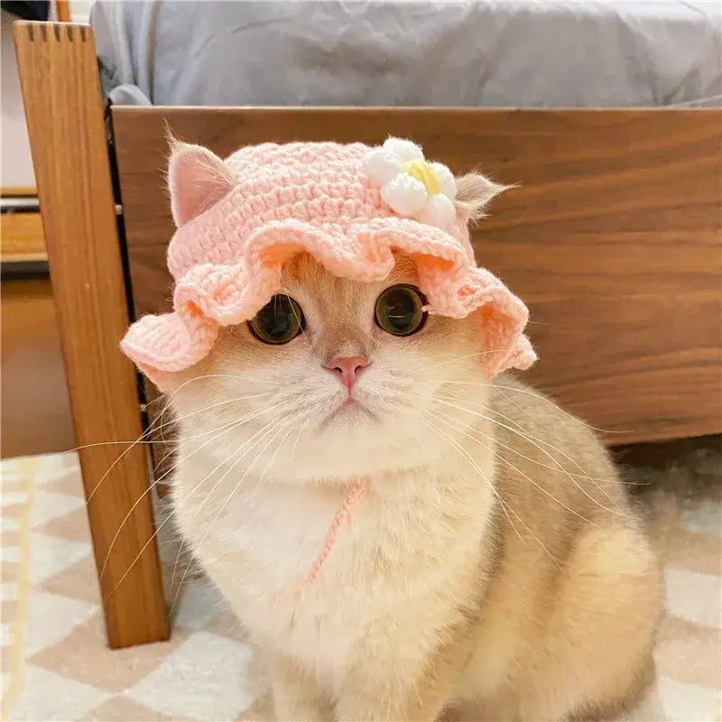 Cute Refined Pet Hat